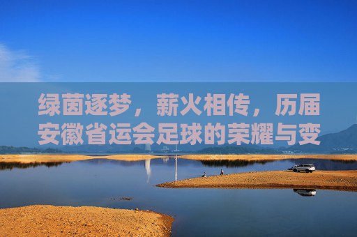 绿茵逐梦，薪火相传，历届安徽省运会足球的荣耀与变迁