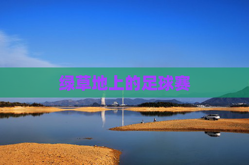 绿草地上的足球赛