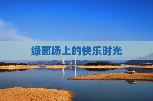 绿茵场上的快乐时光