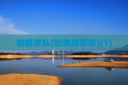 蜘蛛球队(蜘蛛球游戏)(1)