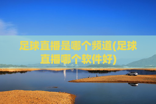 足球直播是哪个频道(足球直播哪个软件好)