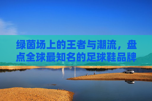绿茵场上的王者与潮流，盘点全球最知名的足球鞋品牌