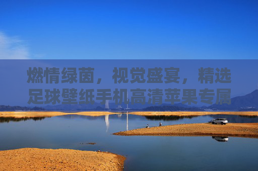 燃情绿茵，视觉盛宴，精选足球壁纸手机高清苹果专属