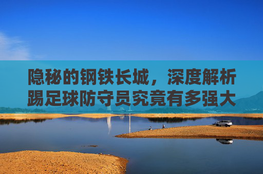 隐秘的钢铁长城，深度解析踢足球防守员究竟有多强大