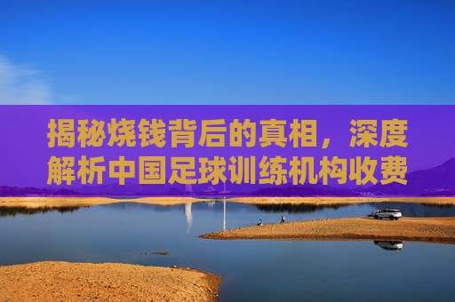 揭秘烧钱背后的真相,深度解析中国足球训练机构收费现状与家长痛点