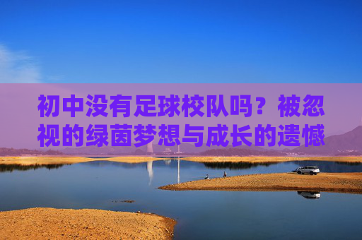 初中没有足球校队吗?被忽视的绿茵梦想与成长的遗憾