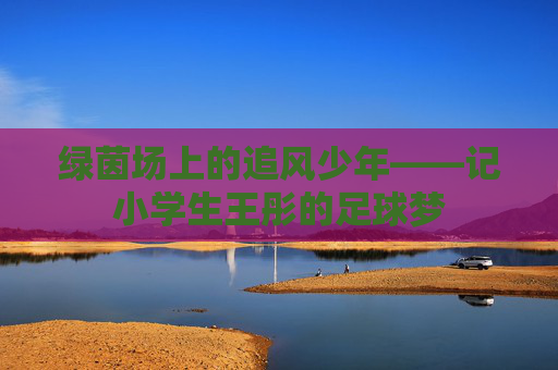 绿茵场上的追风少年——记小学生王彤的足球梦
