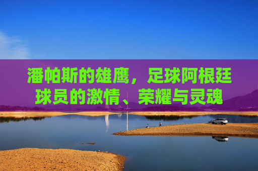 潘帕斯的雄鹰,足球阿根廷球员的激情、荣耀与灵魂