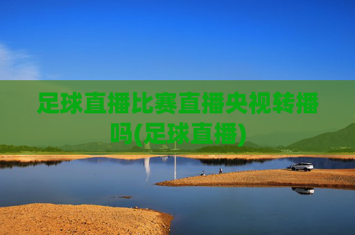 足球直播比赛直播央视转播吗(足球直播)