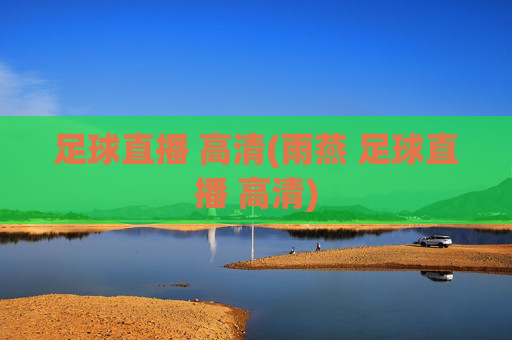 足球直播 高清(雨燕 足球直播 高清)