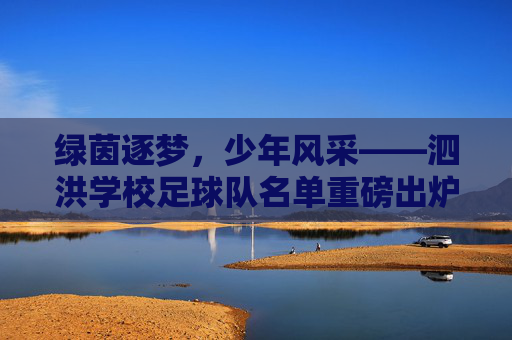 绿茵逐梦，少年风采——泗洪学校足球队名单重磅出炉
