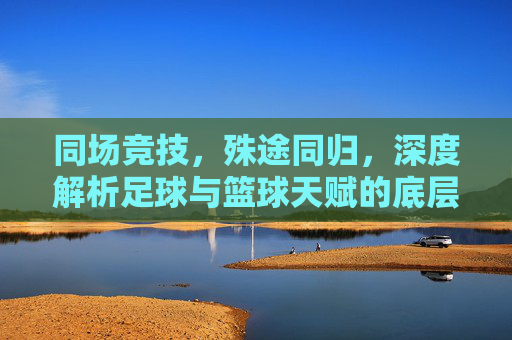 同场竞技，殊途同归，深度解析足球与篮球天赋的底层逻辑差异