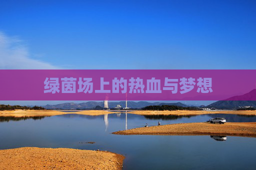 绿茵场上的热血与梦想