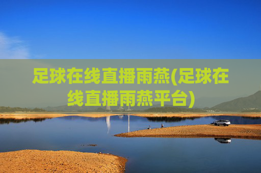 足球在线直播雨燕(足球在线直播雨燕平台)
