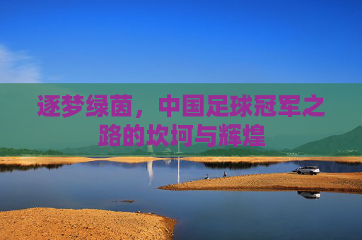 逐梦绿茵，中国足球冠军之路的坎坷与辉煌