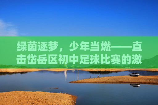 绿茵逐梦，少年当燃——直击岱岳区初中足球比赛的激情时刻