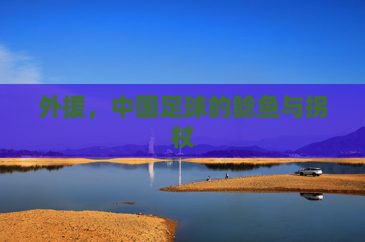 外援，中国足球的鲶鱼与拐杖