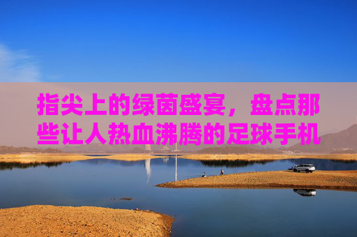 指尖上的绿茵盛宴，盘点那些让人热血沸腾的足球手机游戏