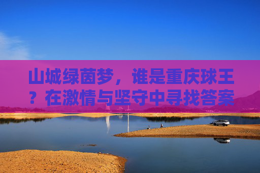 山城绿茵梦,谁是重庆球王?在激情与坚守中寻找答案