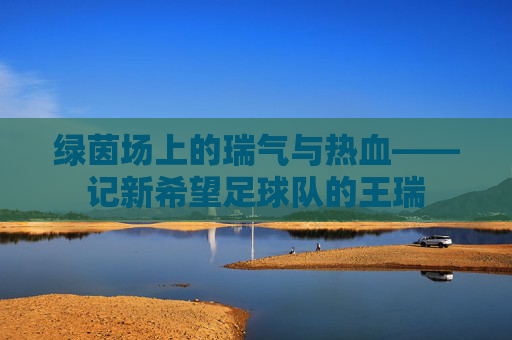 绿茵场上的瑞气与热血——记新希望足球队的王瑞