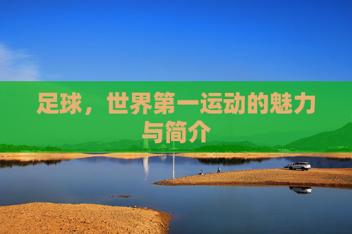 足球,世界第一运动的魅力与简介