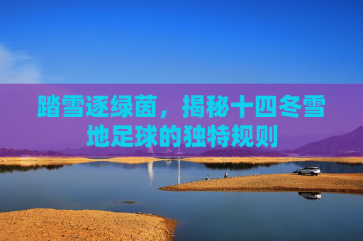 踏雪逐绿茵，揭秘十四冬雪地足球的独特规则