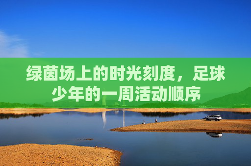 绿茵场上的时光刻度,足球少年的一周活动顺序