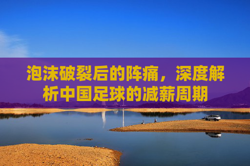 泡沫破裂后的阵痛,深度解析中国足球的减薪周期