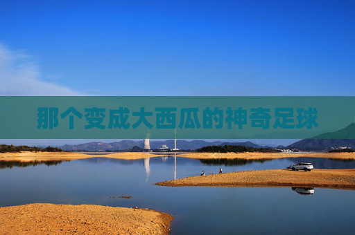 那个变成大西瓜的神奇足球