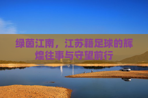 绿茵江南,江苏籍足球的辉煌往事与守望前行