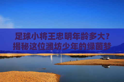 足球小将王忠明年龄多大?揭秘这位潍坊少年的绿茵梦想