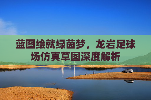 蓝图绘就绿茵梦，龙岩足球场仿真草图深度解析