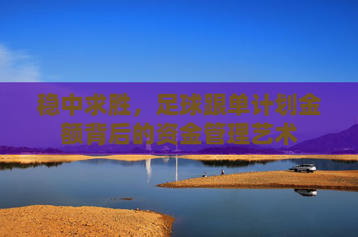 稳中求胜,足球跟单计划金额背后的资金管理艺术