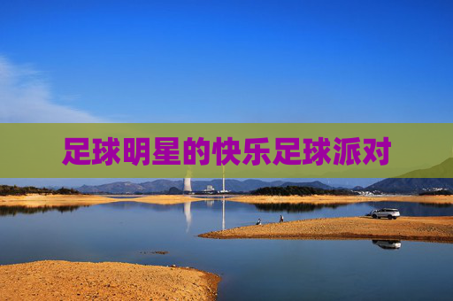 足球明星的快乐足球派对