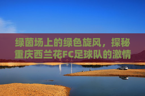 绿茵场上的绿色旋风,探秘重庆西兰花FC足球队的激情与快乐