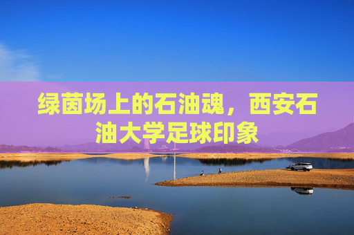 绿茵场上的石油魂,西安石油大学足球印象