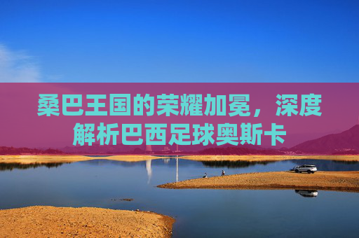 桑巴王国的荣耀加冕，深度解析巴西足球奥斯卡