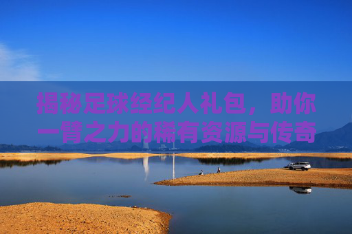 揭秘足球经纪人礼包，助你一臂之力的稀有资源与传奇球员大礼包