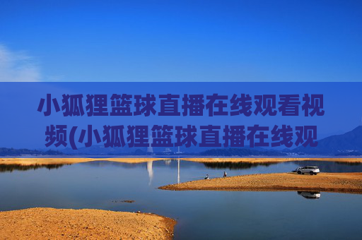 小狐狸篮球直播在线观看视频(小狐狸篮球直播在线观看视频下载)