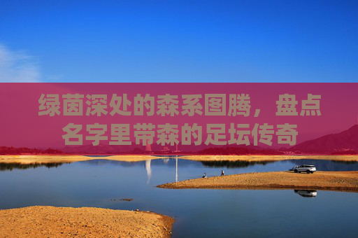 绿茵深处的森系图腾，盘点名字里带森的足坛传奇