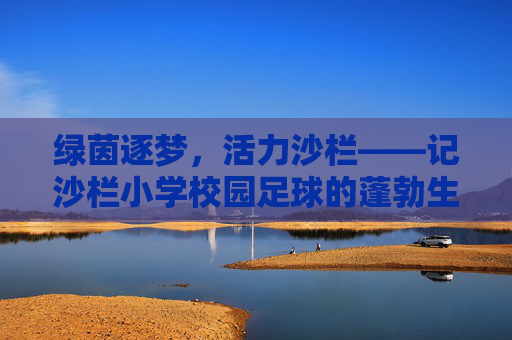 绿茵逐梦，活力沙栏——记沙栏小学校园足球的蓬勃生机