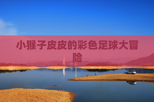 小猴子皮皮的彩色足球大冒险