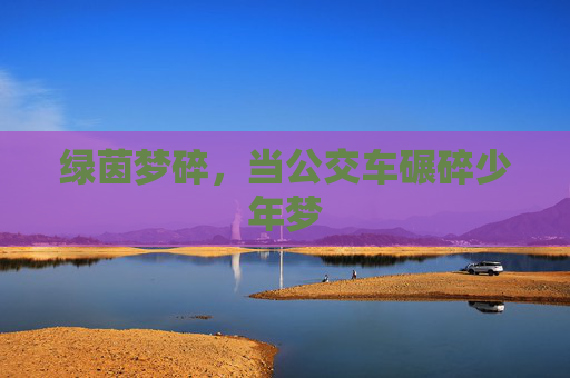 绿茵梦碎,当公交车碾碎少年梦