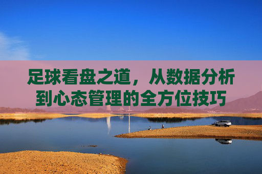 足球看盘之道,从数据分析到心态管理的全方位技巧