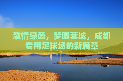 激情绿茵,梦圆蓉城,成都专用足球场的新篇章