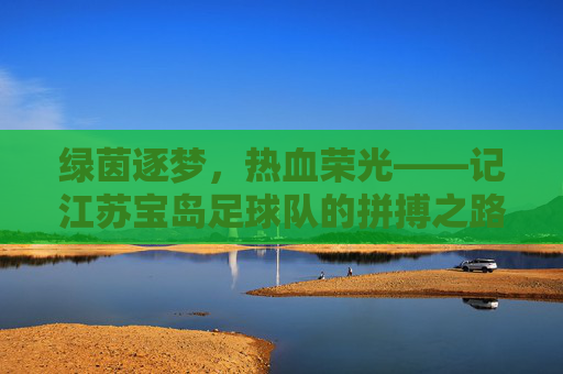 绿茵逐梦，热血荣光——记江苏宝岛足球队的拼搏之路