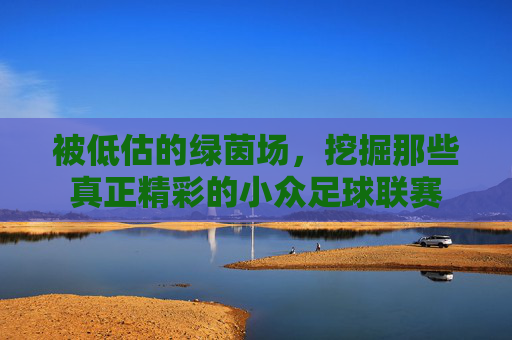 被低估的绿茵场，挖掘那些真正精彩的小众足球联赛