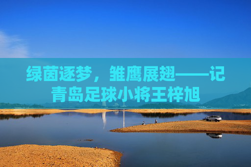 绿茵逐梦,雏鹰展翅——记青岛足球小将王梓旭