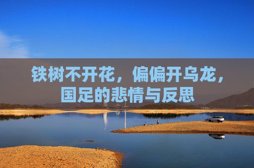 铁树不开花，偏偏开乌龙，国足的悲情与反思