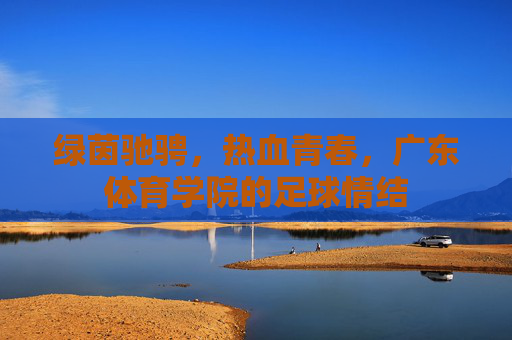 绿茵驰骋,热血青春,广东体育学院的足球情结